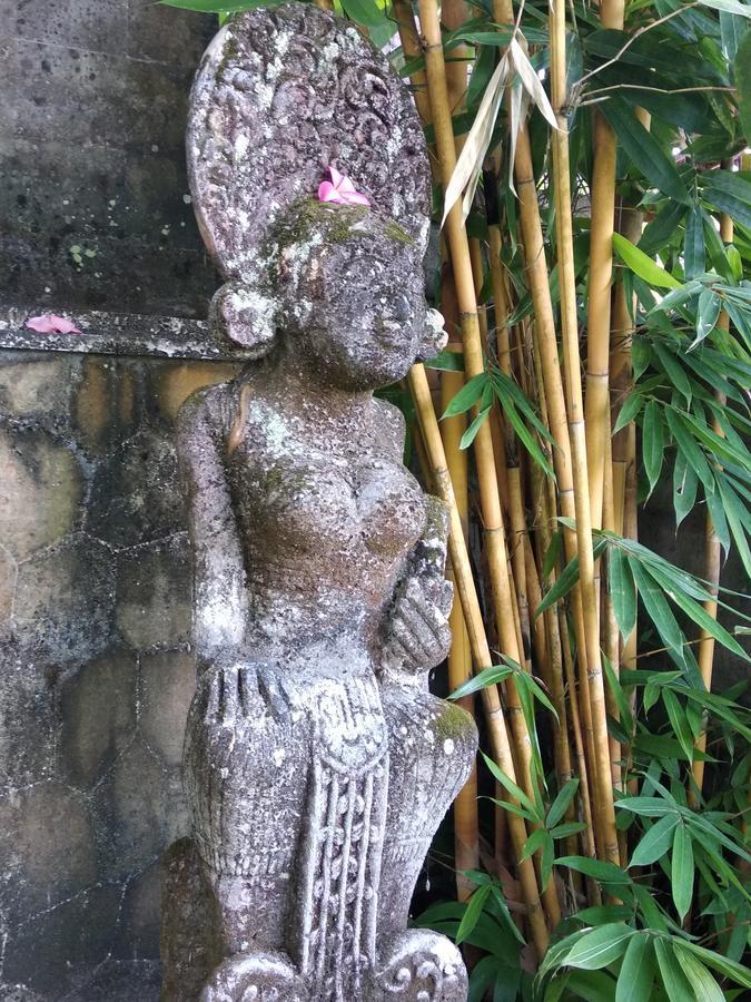 Thani Villa Ubud Kültér fotó